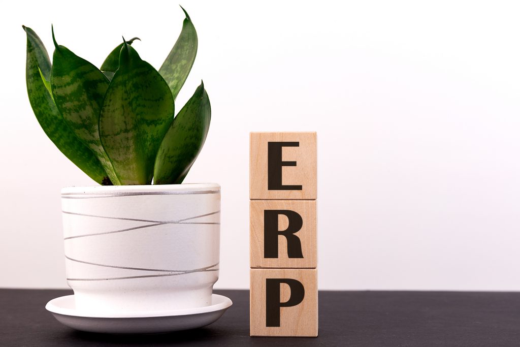 ERP system in Singapore