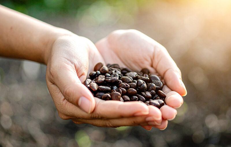 AI-Driven ERP Solutions Transforming Selangor’s Palm Oil Industry Efficiency