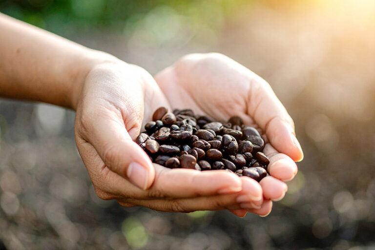 Why Are AI and ERP Systems Transforming Penang’s Palm Oil Industry?